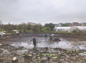 鹿泉河道鱼塘清淤